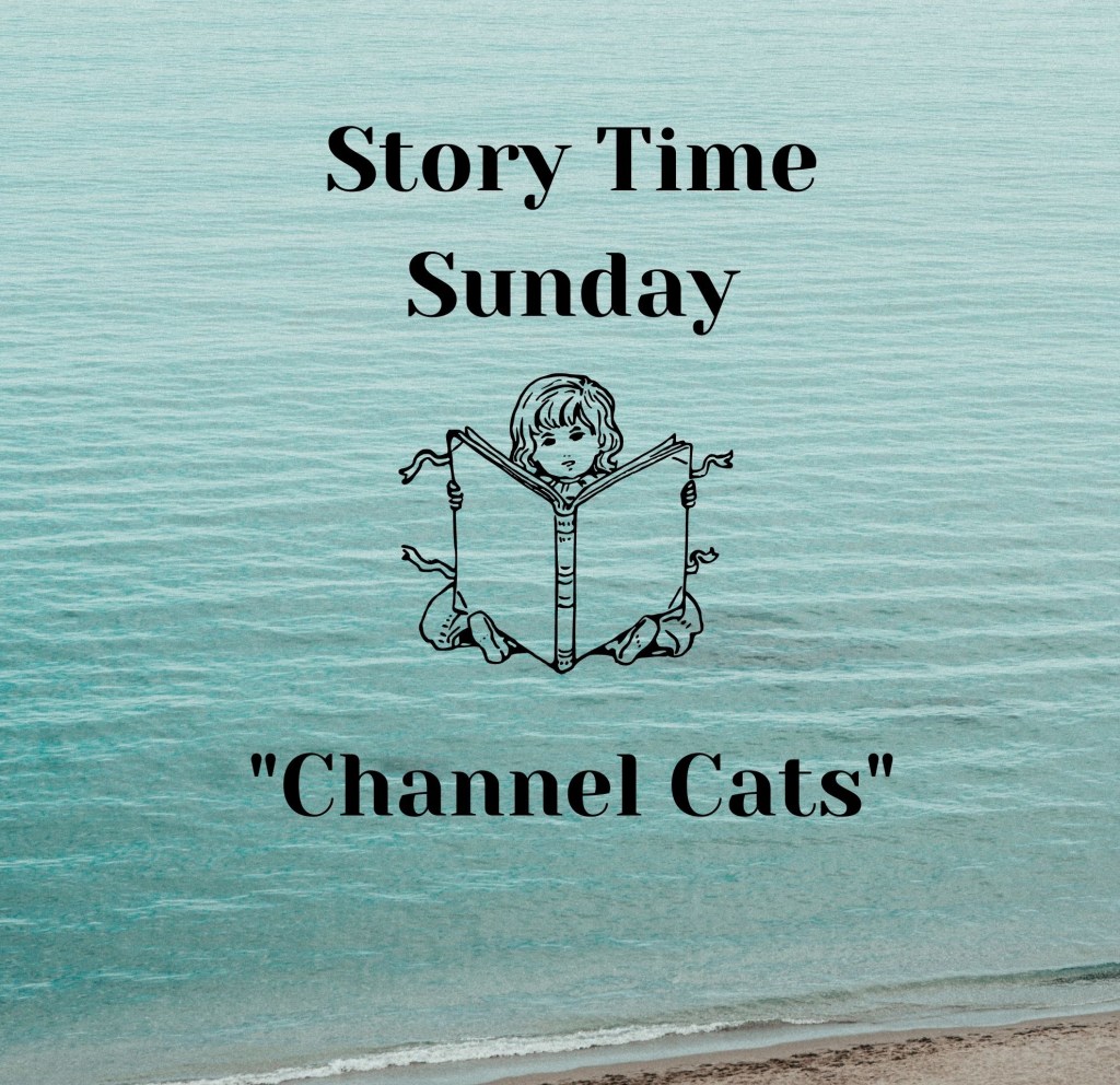 Story Time Sunday&nbsp;#8