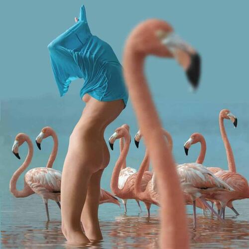 Flamingo Girl