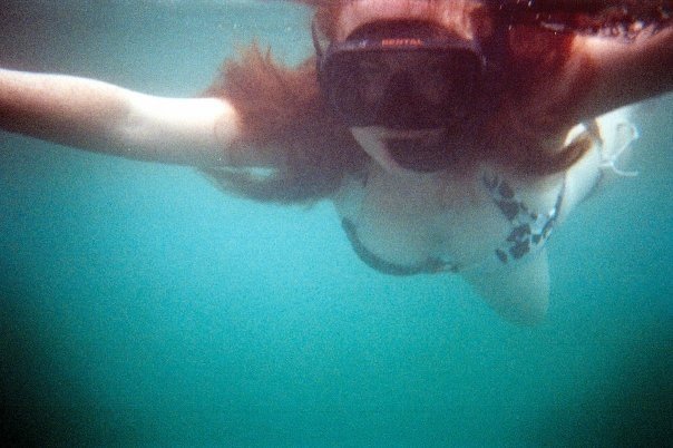 An Ill-Advised Plunge