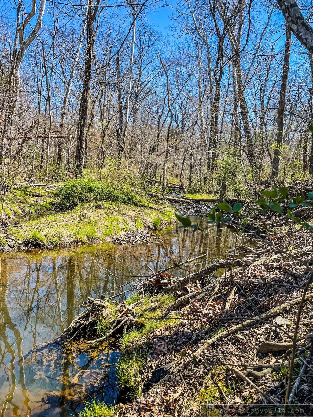 Quadrille #149 To&nbsp;Everything