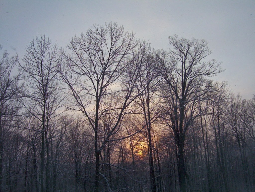 New Music Monday-July 11,&nbsp;2022