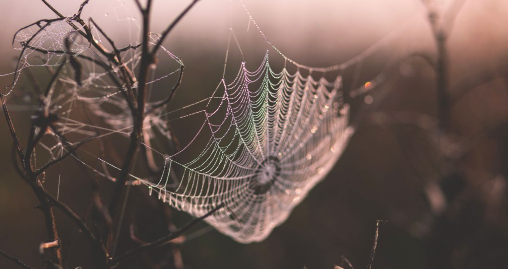 A History Of&nbsp;Dust