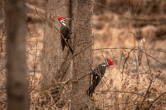 We’ve Learned to&nbsp;Settle