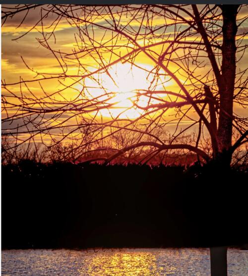 Petite Pen~February 15,&nbsp;2023