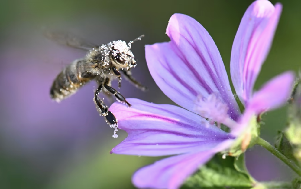 Face in a Full&nbsp;Cup