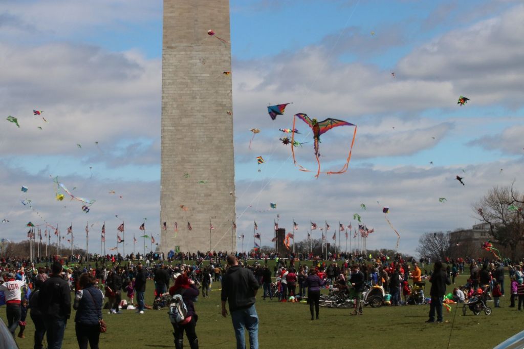 How long they&nbsp;last