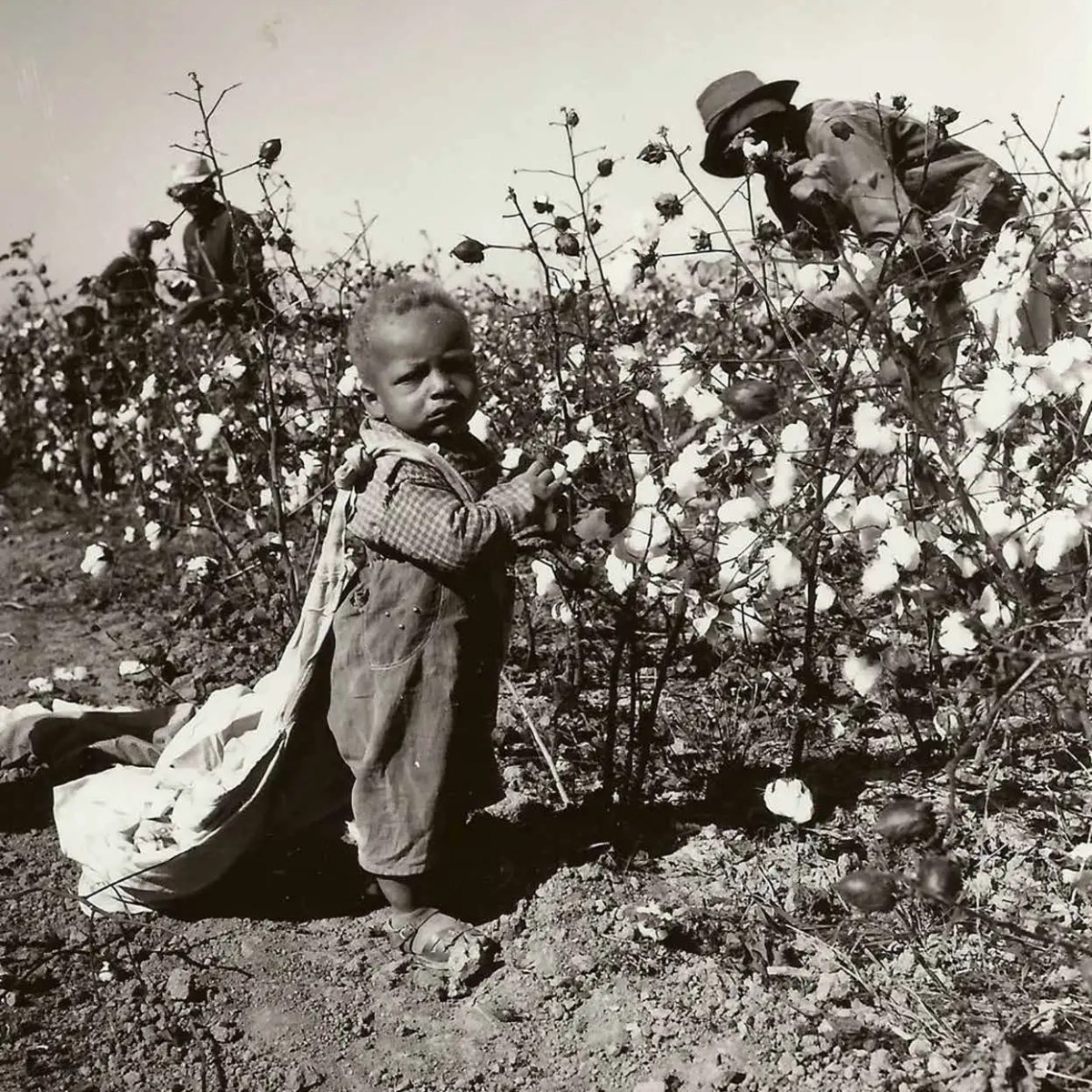 What Keeps the Lanterns&nbsp;Lit