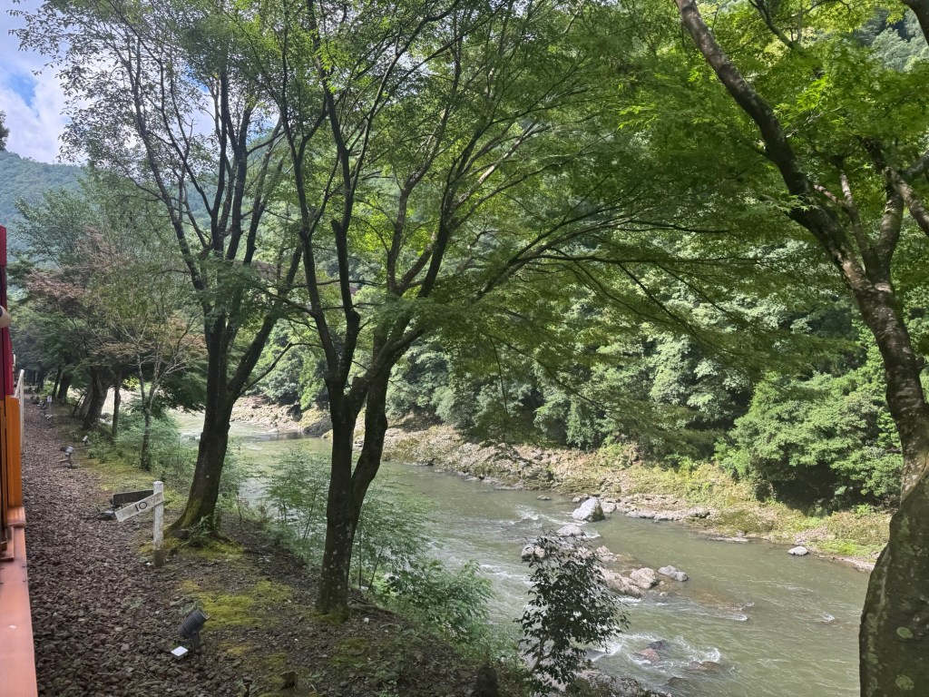 The Forest Has&nbsp;Need